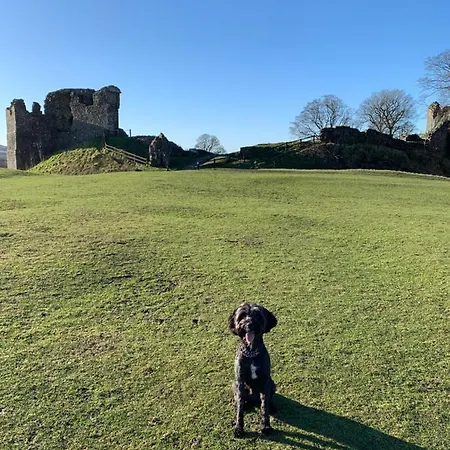 Apartmán Ground Floor Retreat - Business Or Pleasure