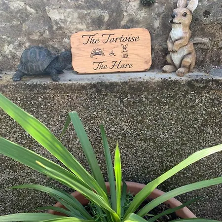 Ground Floor Retreat - Business Or Pleasure * ケンダル