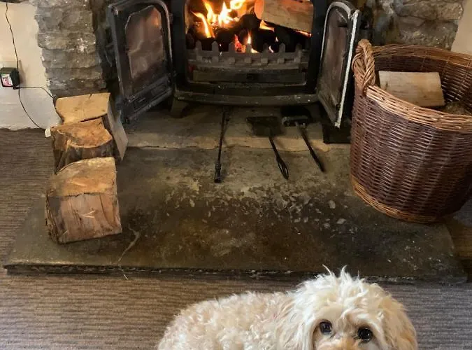 Apartman Ground Floor Retreat - Business Or Pleasure