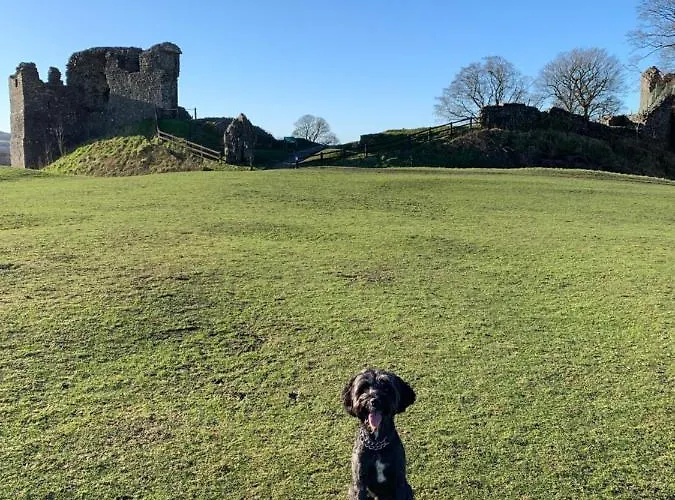 Apartman Ground Floor Retreat - Business Or Pleasure