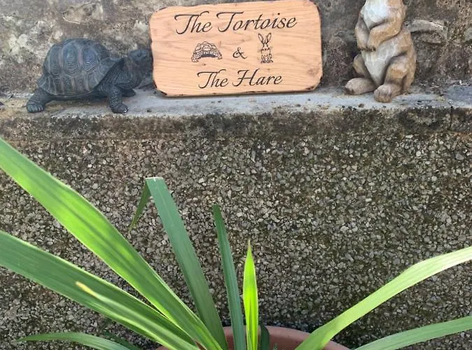 Ground Floor Retreat - Business Or Pleasure * Kendal